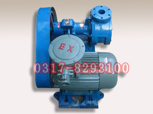 山東NCB不銹鋼高粘度轉子泵